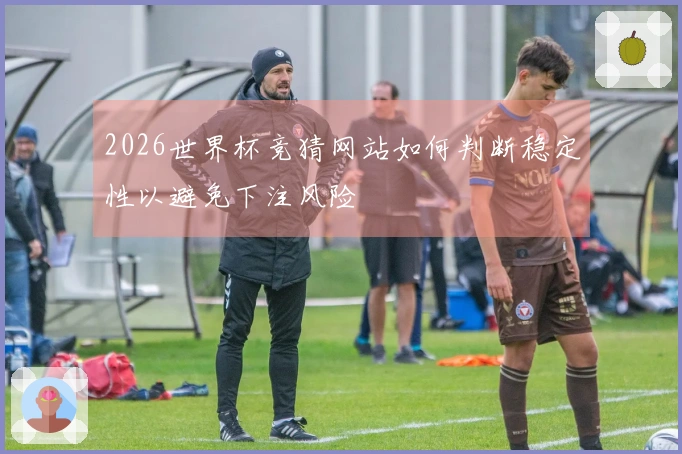 2026世界杯竞猜网站如何判断稳定性以避免下注风险