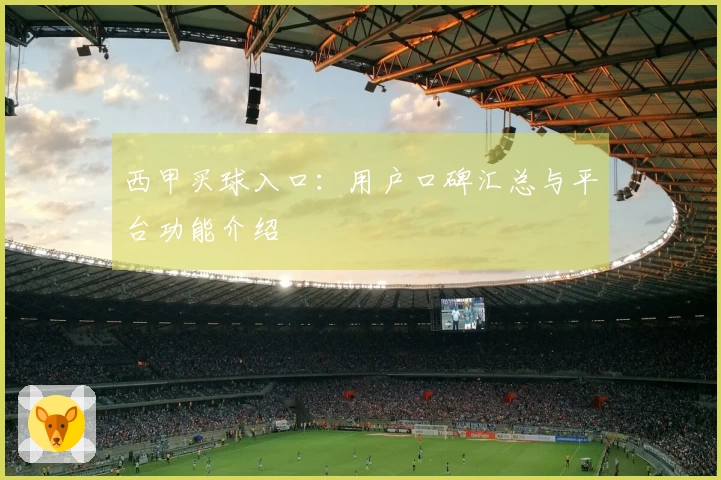 西甲买球入口：用户口碑汇总与平台功能介绍
