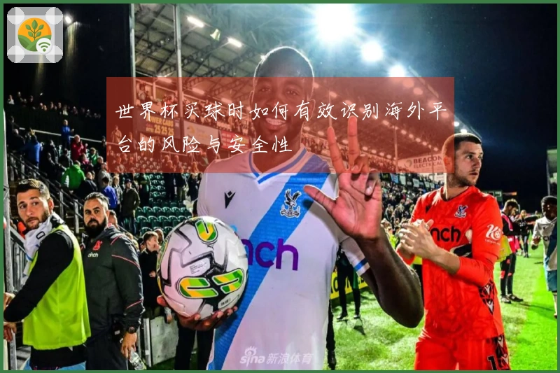 世界杯买球时如何有效识别海外平台的风险与安全性