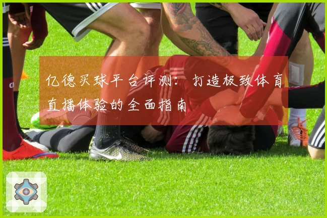 亿德买球平台评测：打造极致体育直播体验的全面指南