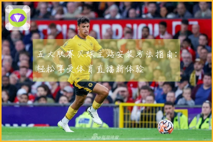 五大联赛买球主站安装方法指南：轻松享受体育直播新体验