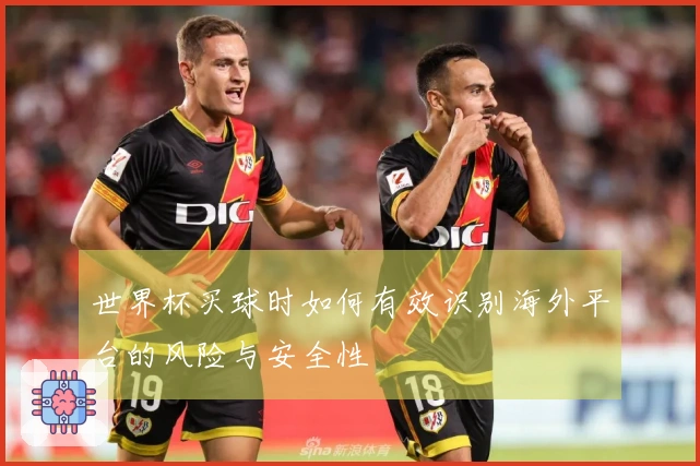 世界杯买球时如何有效识别海外平台的风险与安全性