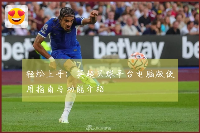 轻松上手：英超买球平台电脑版使用指南与功能介绍