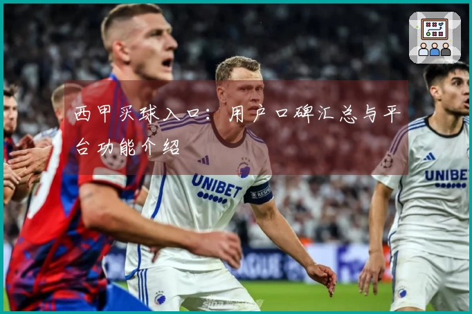 西甲买球入口：用户口碑汇总与平台功能介绍